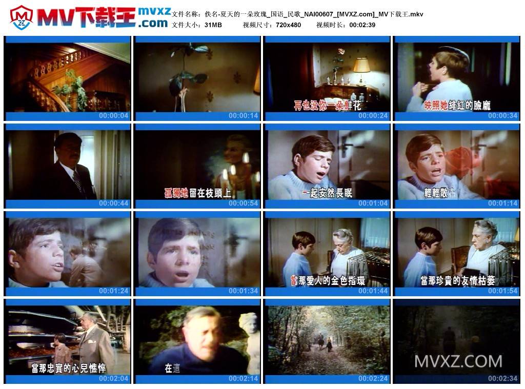 佚名-夏天的一朵玫瑰_国语_民歌_NAI00607